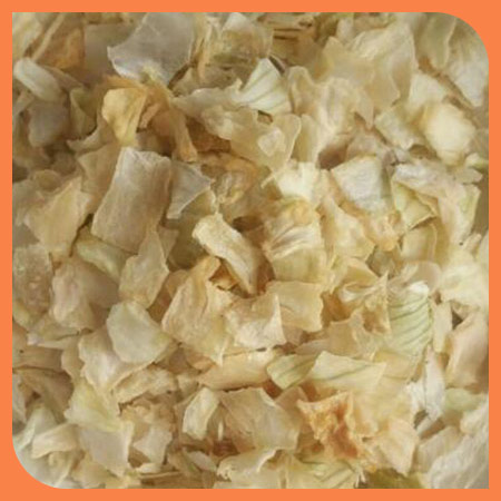 white-onion-10x10