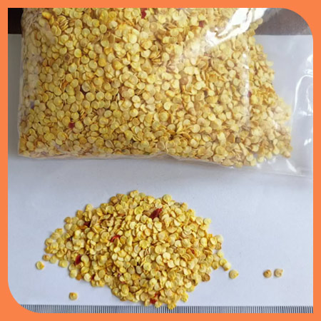 Chili-seeds