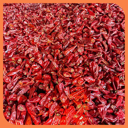 Yidu-Chili
