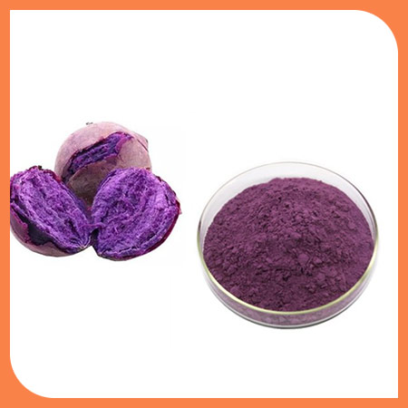 Purple seet patato p